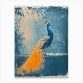 Peacock Orange Cyanotype Inspired In The Fountain Canvas Print