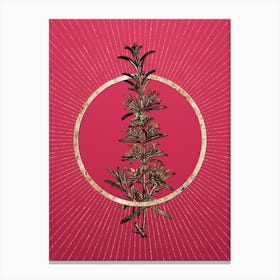 Gold Rosemary Glitter Ring Botanical Art on Viva Magenta n.0272 Canvas Print