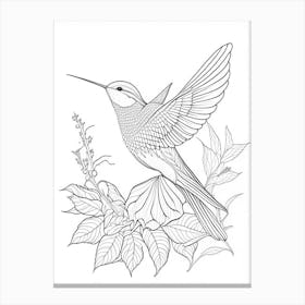 Buff Bellied Hummingbird William Morris Line Drawing Canvas Print