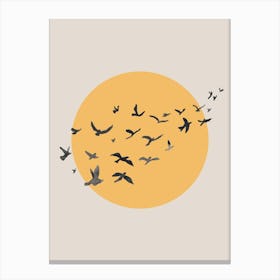 Sun and Flying Birds Canvas Print