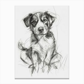 Entlebucher Mountain Dog Charcoal Line 3 Canvas Print