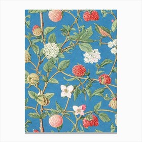 Sugarberry tree Vintage Botanical Canvas Print