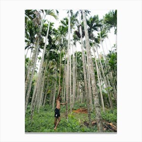 Palm Trees In The Forest 1 Canvas Print