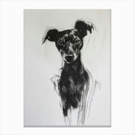 German Pinscher Charcoal Dog Line Canvas Print