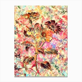 Impressionist Red Aster Flowers Botanical Painting in Blush Pink and Gold n.0023 Canvas Print
