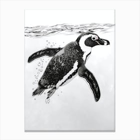 African Penguin Swimming 2 Canvas Print