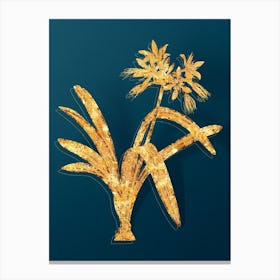 Vintage Pancratium Illyricum Botanical in Gold on Teal Blue n.0067 Canvas Print