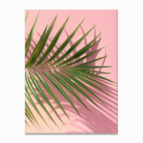 Palm Leaf On Pink Background 4 Canvas Print