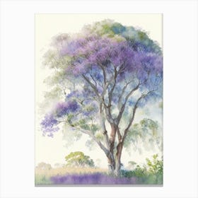 Atherton Tableland S Curtain 2, Fig Tree, Australia Pastel Watercolour Canvas Print