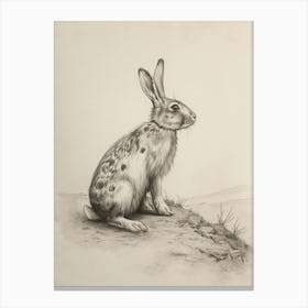English Spot Rabbit Drawing 4 Canvas Print