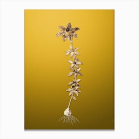 Gold Botanical Wood Lily on Mango Yellow n.2100 Canvas Print