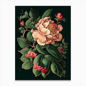 Camellia 1 Floral Botanical Vintage Poster Flower Canvas Print