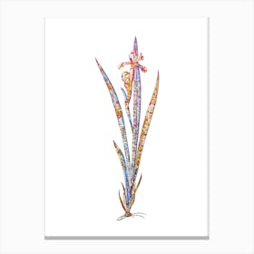Stained Glass Yellow Banded Iris Mosaic Botanical Illustration on White n.0054 Canvas Print