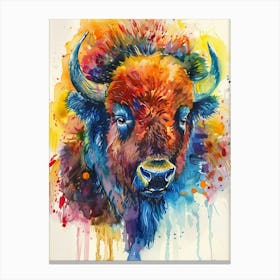 Buffalo Colourful Watercolour 2 Canvas Print