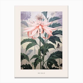 Flower Illustration Bee Balm 3 Poster Canvas Print