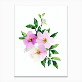 Apple Blossom Watercolour Flower Canvas Print
