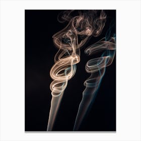 Smoke In The Air Canvas Print