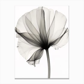 X Ray Flower 1 Canvas Print
