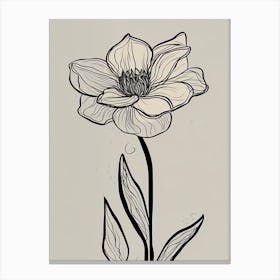Daffodils Line Art Flowers Illustration Neutral 15 Canvas Print