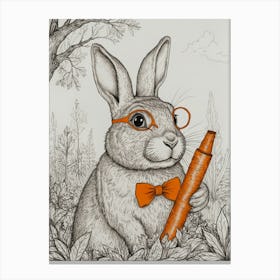 Rabbit In Glasses Canvas Print