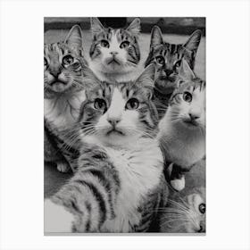 Portrait Of A Group Of Cats Canvas Print