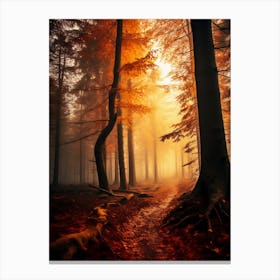 Autumn Forest 1 Canvas Print