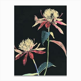 Neon Flowers On Black Globe Amaranth 3 Canvas Print