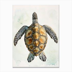 Vintage Sea Turtle Watercolour Canvas Print