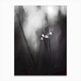 Lily Of The Valley 8 Canvas Print