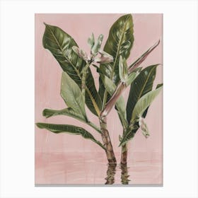 'Banana Tree' 1 Canvas Print