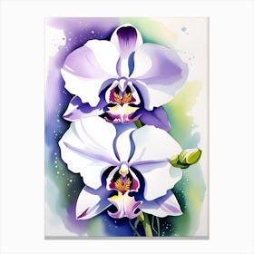 Orchids 4 Canvas Print