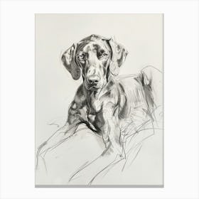Vizsla Dog Charcoal Line 2 Canvas Print
