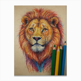 Lion Drawing 4 Canvas Print