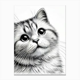 A detailed black and white illustration of a cute cat Canvas Print