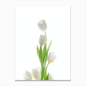 Tulip Art Canvas Print