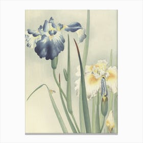 Japanese Ukiyo-E Iris By Yoshitsu Canvas Print