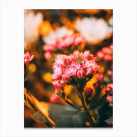 Poster Flower Art Print 17 Canvas Print