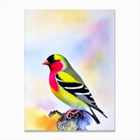 American Goldfinch Watercolour Bird Canvas Print