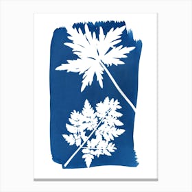 Spring Leaf Shape Cyanotype Canvas Print