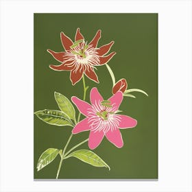 Pink & Green Passionflower 2 Canvas Print