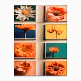 Collage, Colorful Flowers Canvas Print