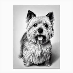 Norwich Terrier B&W Pencil dog Canvas Print