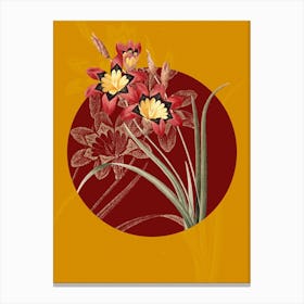 Vintage Botanical Ixia Tricolore on Circle Red on Yellow n.0124 Canvas Print