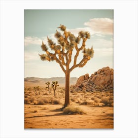  Photograph Of A Joshua Tree In Rocky Landscape 3 Canvas Print