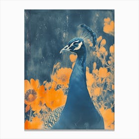 Floral Orange & Blue Peacock 2 Canvas Print