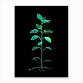 Plant Growing On A Black Background 3 Canvas Print