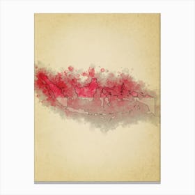 Indonesia Flag Vintage Canvas Print