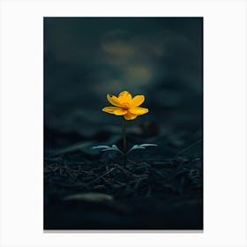 Single Yellow Flower 48 Canvas Print