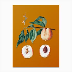 Vintage Peach Botanical on Sunset Orange n.0566 Canvas Print
