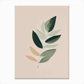 Bay Leaves Herb Simplicity 2 Canvas Print